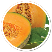 heads up plant protectant