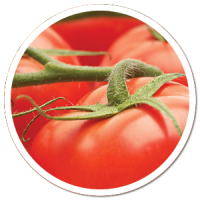 heads up plant protectant