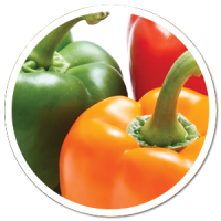 heads up plant protectant