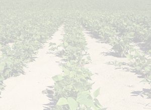 heads up plant protectant