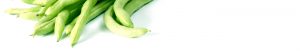 heads up plant protectant