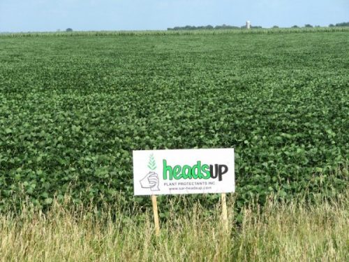 heads up plant protectant