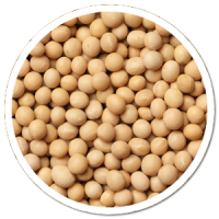 heads up plant protectant
