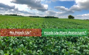 White Mold Base vs Heads Up