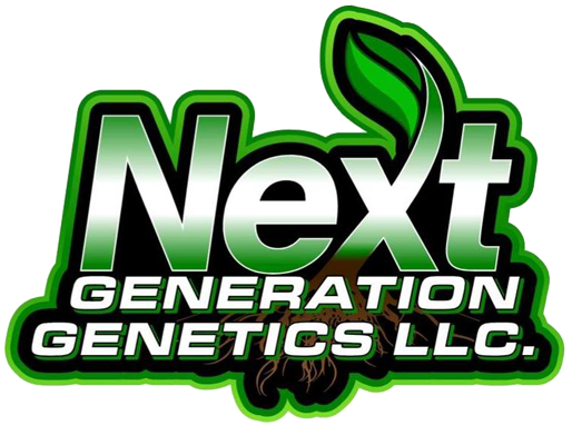 Next Generation Genetics
